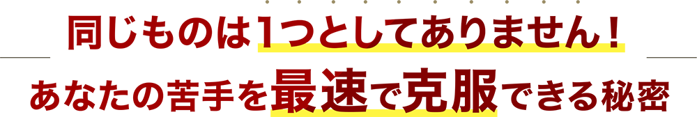 同じものは１つとしてありません！あなたの苦手を最速で克服できる秘密